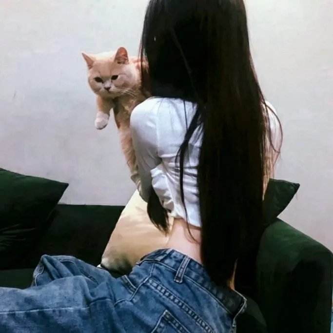 乘龙怪婿第四季